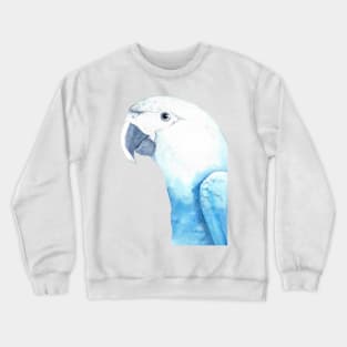 Spix&#39;s macaw watercolor portrait Crewneck Sweatshirt